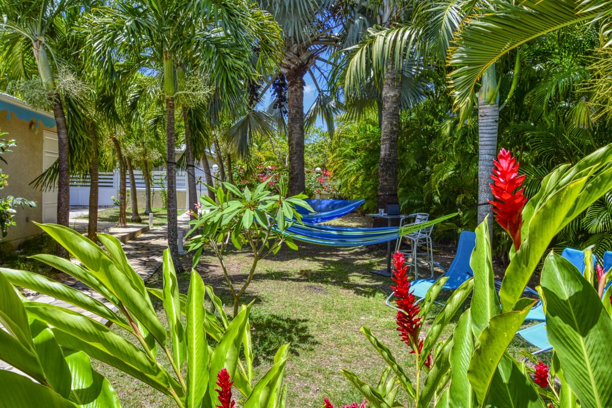A louer villa 8 personnes Saint François Guadeloupe_ Jardin - 30